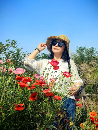 安装步骤示意图